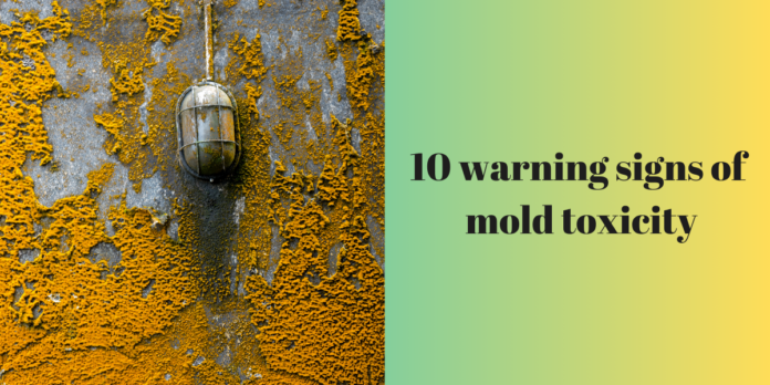 10 warning signs of mold toxicity