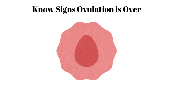 Signs Ovulation is Over