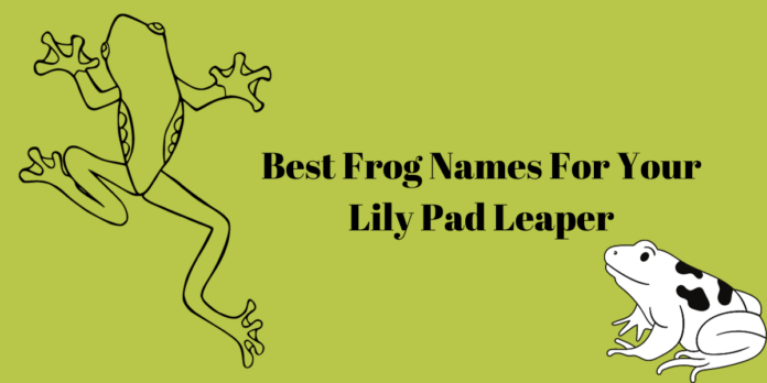 frog names