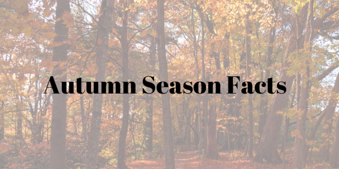 autumn season facts