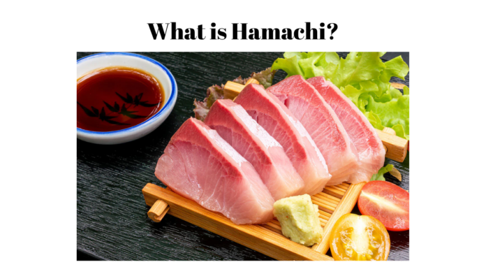 what is hamachi