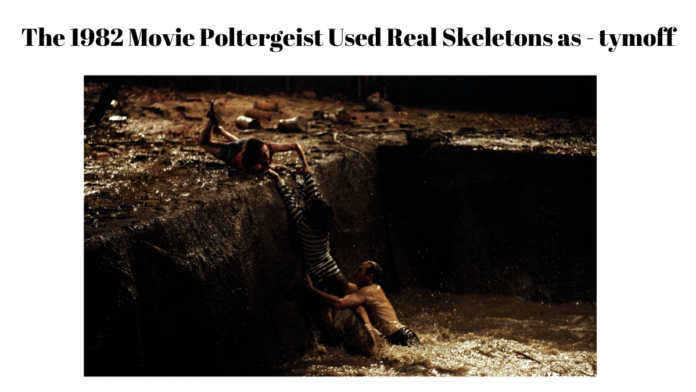 The 1982 Movie Poltergeist Used Real Skeletons as - tymoff