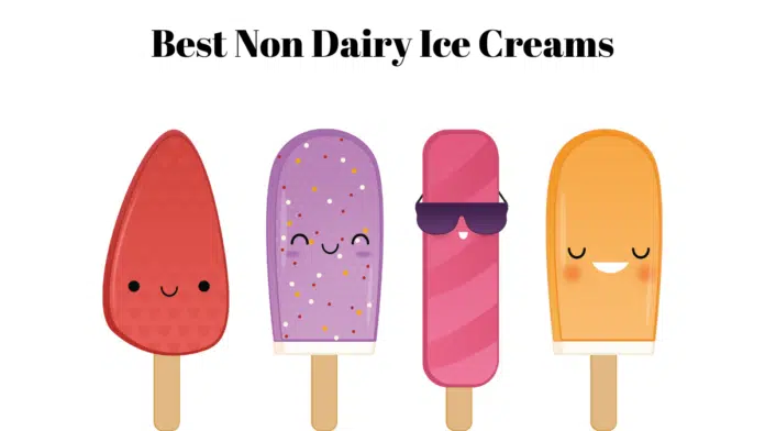 non dairy ice cream